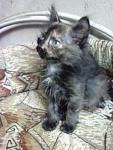     
: IMG_20140629_195152.jpg
: 7
:	77.1 
ID:	8373451