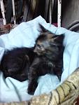     
: IMG_20140629_200021.jpg
: 4
:	67.8 
ID:	8373452
