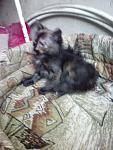     
: IMG_20140629_195324.jpg
: 8
:	94.8 
ID:	8373453