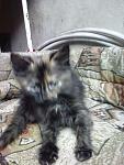     
: IMG_20140629_195004.jpg
: 6
:	90.8 
ID:	8373454