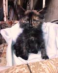     
: IMG_20140629_200032.jpg
: 6
:	77.0 
ID:	8373455