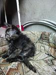     
: IMG_20140629_195048.jpg
: 7
:	104.6 
ID:	8373457