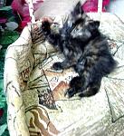     
: IMG_20140629_195124.jpg
: 4
:	132.2 
ID:	8373458