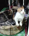     
: IMG_20140629_194704.jpg
: 8
:	93.4 
ID:	8373462