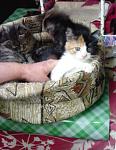     
: IMG_20140629_194701.jpg
: 5
:	89.7 
ID:	8373463