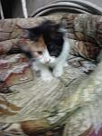     
: IMG_20140629_195425.jpg
: 8
:	72.3 
ID:	8373465