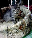     
: IMG_20140629_194732.jpg
: 18
:	113.3 
ID:	8373474