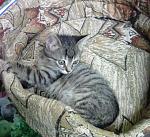     
: IMG_20140629_194852.jpg
: 4
:	172.8 
ID:	8373478