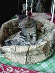     
: IMG_20140629_194722.jpg
: 10
:	84.9 
ID:	8373481