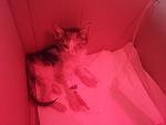     
: 20140704_164636.jpg
: 8
:	66.7 
ID:	8375957