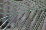     
: IMG_6175.JPG
: 7
:	148.3 
ID:	8376681