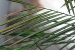     
: IMG_6177.JPG
: 10
:	151.9 
ID:	8376684