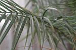     
: IMG_6174.JPG
: 6
:	137.7 
ID:	8376685