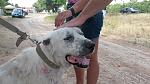     
: 20140705_163216.jpg
: 23
:	137.2 
ID:	8378263
