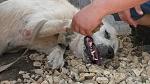     
: 20140705_164340.jpg
: 24
:	123.8 
ID:	8378268