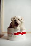     
: DSC_9495п.jpg
: 14
:	29.3 
ID:	8379397