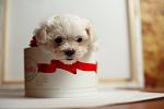     
: DSC_9504п.jpg
: 13
:	53.0 
ID:	8379398