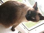     
: IMG_5185.jpg
: 17
:	144.5 
ID:	838036