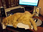     
: DSC01695.jpg
: 37
:	121.6 
ID:	838116