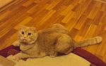     
: DSC01694.jpg
: 40
:	93.2 
ID:	838121