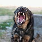     
: DSC_1200_.jpg
: 14
:	71.2 
ID:	8382186