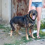     
: DSC_1182_.jpg
: 15
:	137.1 
ID:	8382189