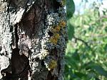     
: 2014-06-08 16.33.24.jpg
: 912
:	209.8 
ID:	8383113