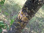     
: 2014-06-08 16.34.08.jpg
: 890
:	264.2 
ID:	8383114