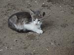     
: DSCF2796.jpg
: 26
:	139.6 
ID:	8384549