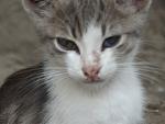     
: DSCF2791.jpg
: 22
:	70.0 
ID:	8384551