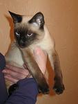     
: IMG_4121.jpg
: 22
:	65.7 
ID:	838545