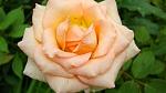    
: DSC05471.JPG
: 5
:	164.8 
ID:	8385946