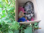     
: IMG_6268.jpg
: 7
:	142.9 
ID:	8386051