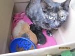    
: IMG_6270.jpg
: 5
:	105.5 
ID:	8386057
