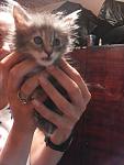     
: 20140707_184816.jpg
: 6
:	79.5 
ID:	8386512