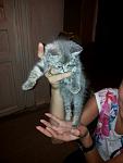    
: 20140707_184608.jpg
: 5
:	63.8 
ID:	8386516