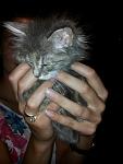     
: 20140707_184803.jpg
: 11
:	80.0 
ID:	8386519