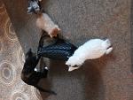     
: 20140707_185011.jpg
: 4
:	138.2 
ID:	8386526