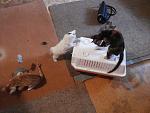     
: 20140707_184852.jpg
: 6
:	139.4 
ID:	8386532