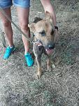     
: 20140707_174843.jpg
: 8
:	225.2 
ID:	8386593