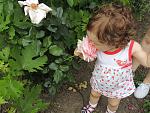     
: DSCN5695.jpg
: 9
:	192.7 
ID:	8390130