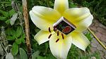     
: DSC05464.JPG
: 8
:	204.1 
ID:	8392190