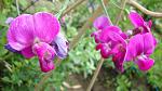     
: DSC05470.JPG
: 10
:	186.6 
ID:	8392191