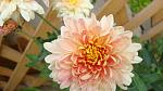     
: DSC05469.JPG
: 10
:	181.3 
ID:	8392192