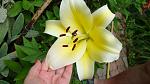     
: DSC05463.JPG
: 5
:	181.9 
ID:	8392194