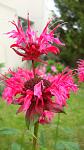     
: DSC05467.JPG
: 10
:	194.2 
ID:	8392221