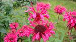     
: DSC05466.JPG
: 9
:	199.6 
ID:	8392222