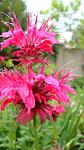     
: DSC05468.JPG
: 8
:	203.0 
ID:	8392223