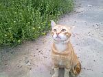     
: 080720141507.jpg
: 11
:	192.4 
ID:	8393520