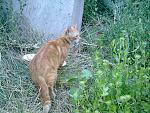     
: 080720141497.jpg
: 6
:	301.8 
ID:	8393522